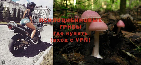 спиды Нефтекумск