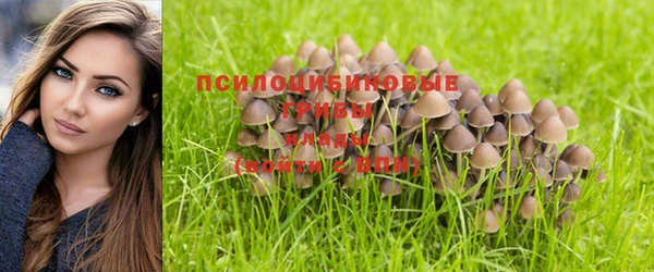 спиды Нефтекумск