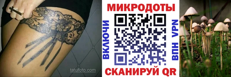 Псилоцибиновые грибы мухоморы Карабаш