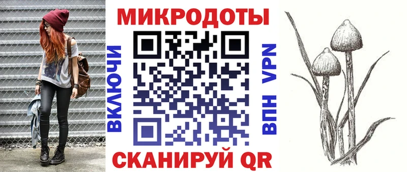 Купить закладки  Карабаш  Псилоцибиновые грибы Magic Shrooms 